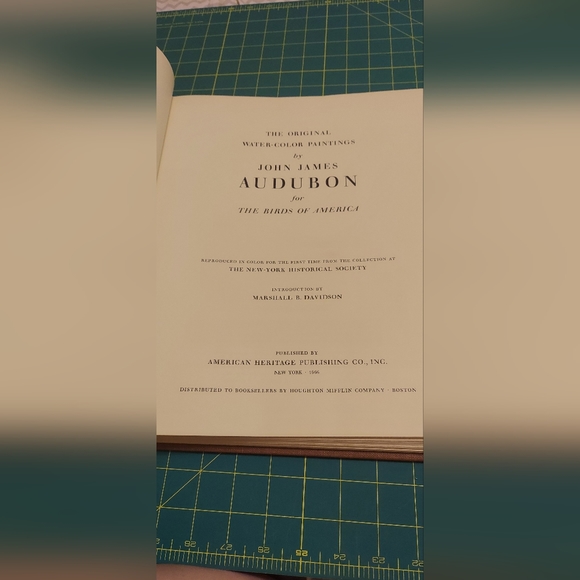 Sparrow Hawk, Plate 184. John James Audubon - Picture 3 of 4